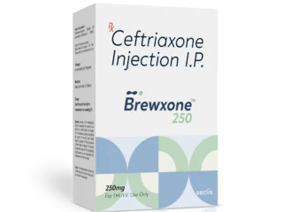 BrewXONE™ 250 Dry Injection 1 Vial carton pack shot