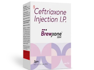 BrewXONE™ 2GM Dry Injection 1 Vial carton pack shot