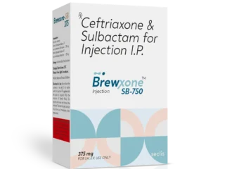 BrewXONE™ SB 375 Dry Injection 1 Vial carton pack shot