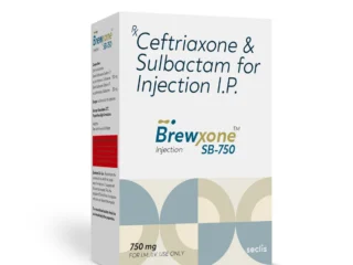 BrewXONE™ SB 750 Dry Injection 1 Vial carton pack shot