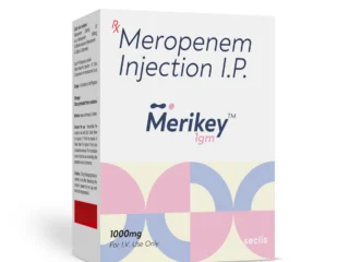 MERIKEY™ 1GM Dry Injection 1 Vial carton pack shot